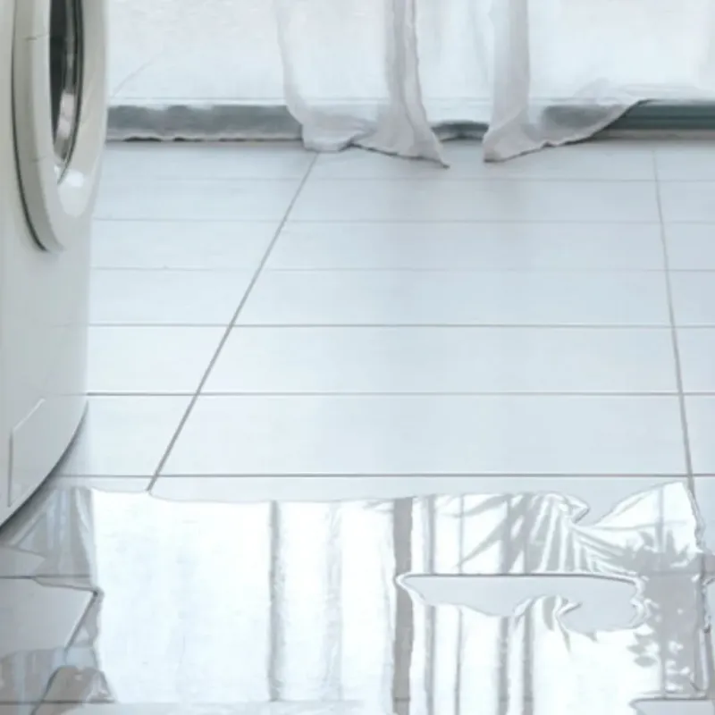 Appliance Leak Cleanup in Macomb, IL