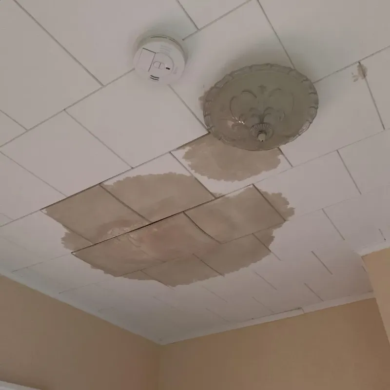 Ceiling Water Damage Repair in Macomb, IL