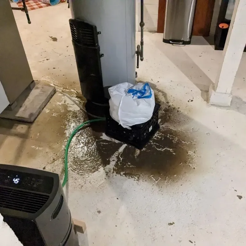 Sewage Backup Cleanup Service in Macomb, IL